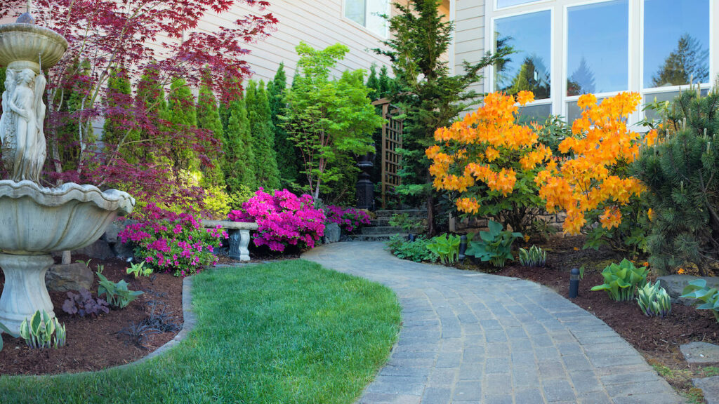 Why Balancing Hardscapes and Softscapes in Your Yard is so Important landscape softscape light floor stone ideas front wall