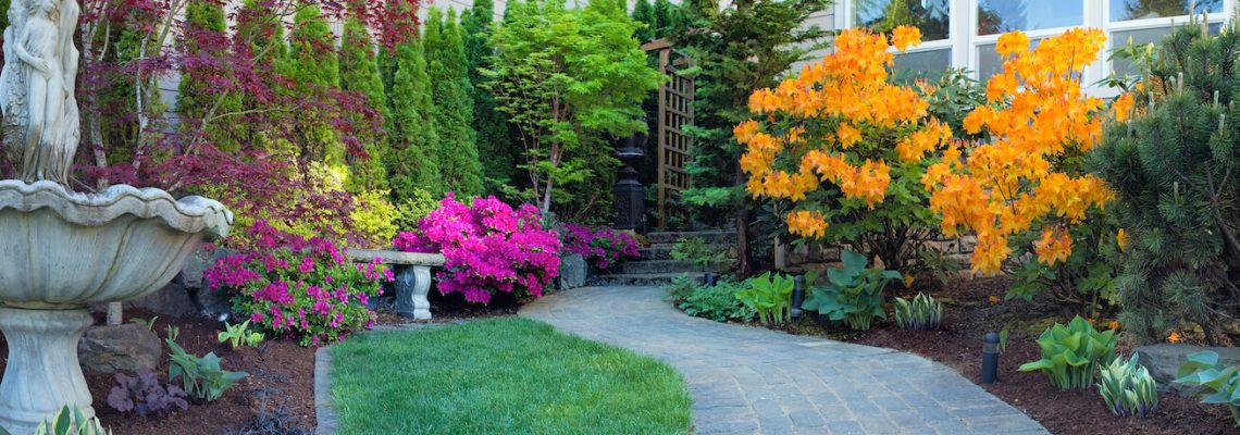 Why Balancing Hardscapes and Softscapes in Your Yard is so Important landscape softscape light floor stone ideas front wall